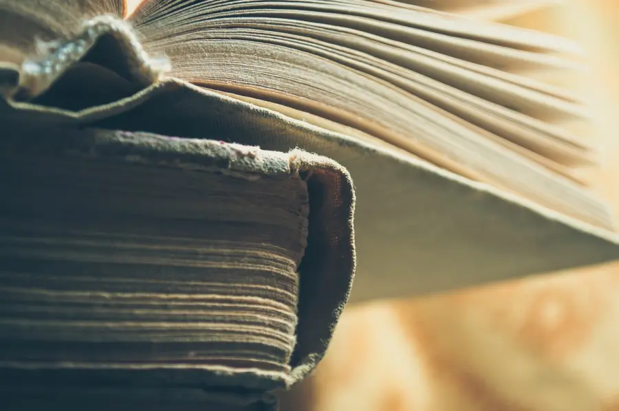 Moltiplicare mondi: libri accessibili in Salaborsa per il diritto alla lettura