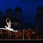 “Animali Intelligenti”: 70 eventi per una nuova stagione culturale condivisa a Reggio Emilia