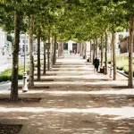 Bologna, 17 chilometri di strade rinnovate e marciapiedi più sicuri