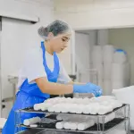 Nuovo caseificio Zivieri: tradizione e innovazione si incontrano a Sasso Marconi