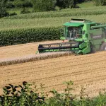 Agricoltura, prevenzione dei danni da fauna selvatica: un bando straordinario da 2 milioni di euro