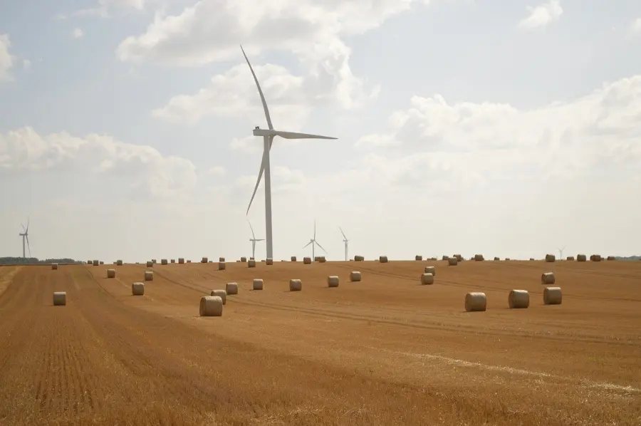 SustainableSolutionsMatch 2026: il matchmaking digitale che mette in contatto imprese e soluzioni per la sostenibilità