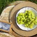 Corso gratuito di nutrizione preventiva: a febbraio 2026 ripartono i gruppi AUSL Bologna