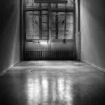 Quattro arresti in poche ore: pomeriggio movimentato per la Polizia di Stato a Bologna