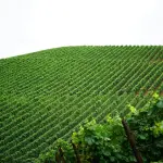Agricoltura e territorio: risorse, prevenzione e scelte strutturali per il Bolognese