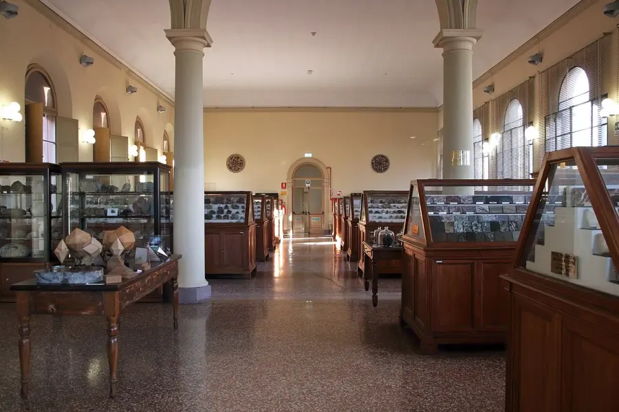 Un museo che si riapre al presente: collezioni storiche, arte e pratiche educative al Museo Bombicci