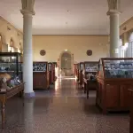 Un museo che si riapre al presente: collezioni storiche, arte e pratiche educative al Museo Bombicci