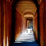 L'Università di Bologna conferisce la Laurea ad honorem a Emanuele Orsini