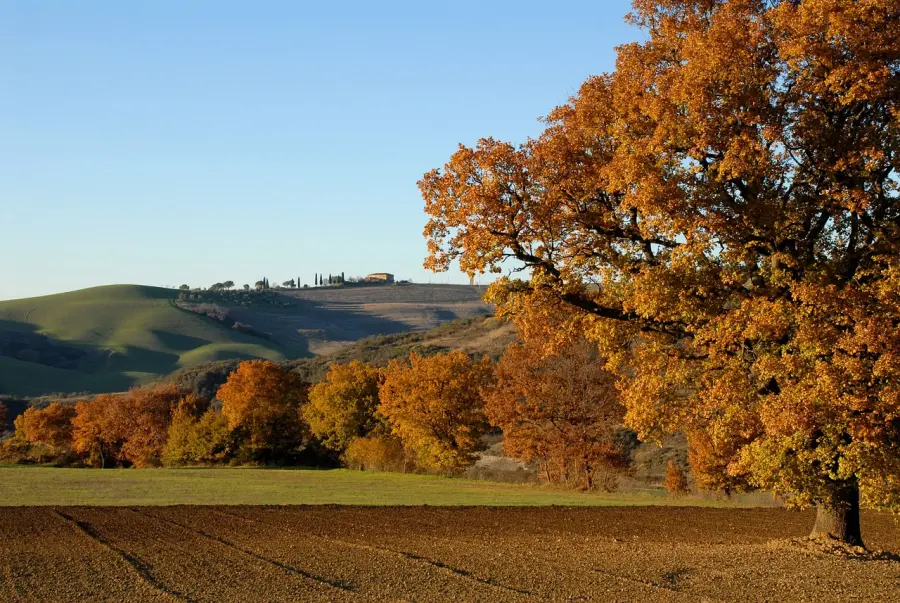 “In Appennino la vita ha più spazio”: incontri e idee per il futuro della montagna bolognese