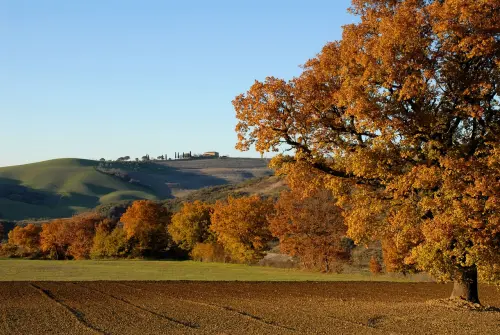 “In Appennino la vita ha più spazio”: incontri e idee per il futuro della montagna bolognese