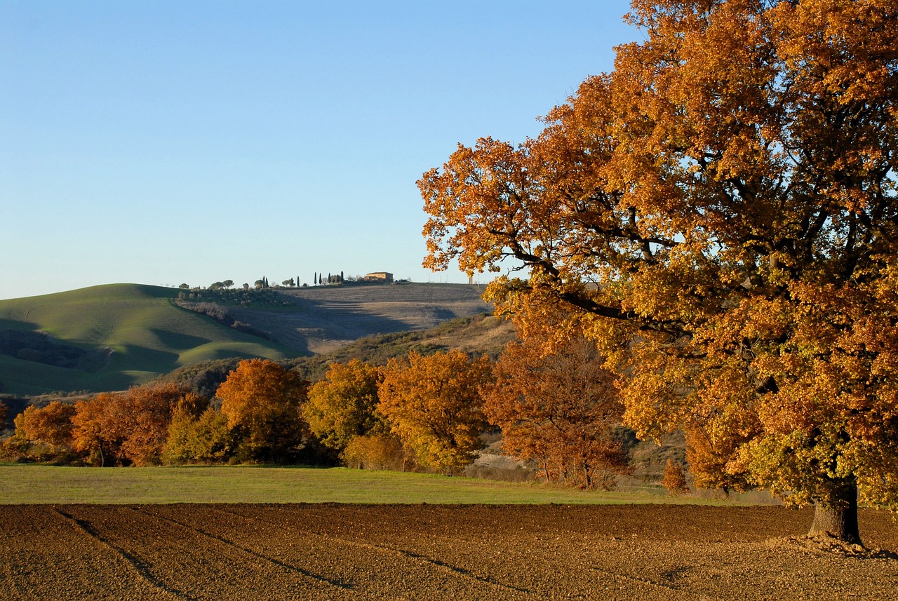 “In Appennino la vita ha più spazio”: incontri e idee per il futuro della montagna bolognese