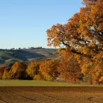 “In Appennino la vita ha più spazio”: incontri e idee per il futuro della montagna bolognese