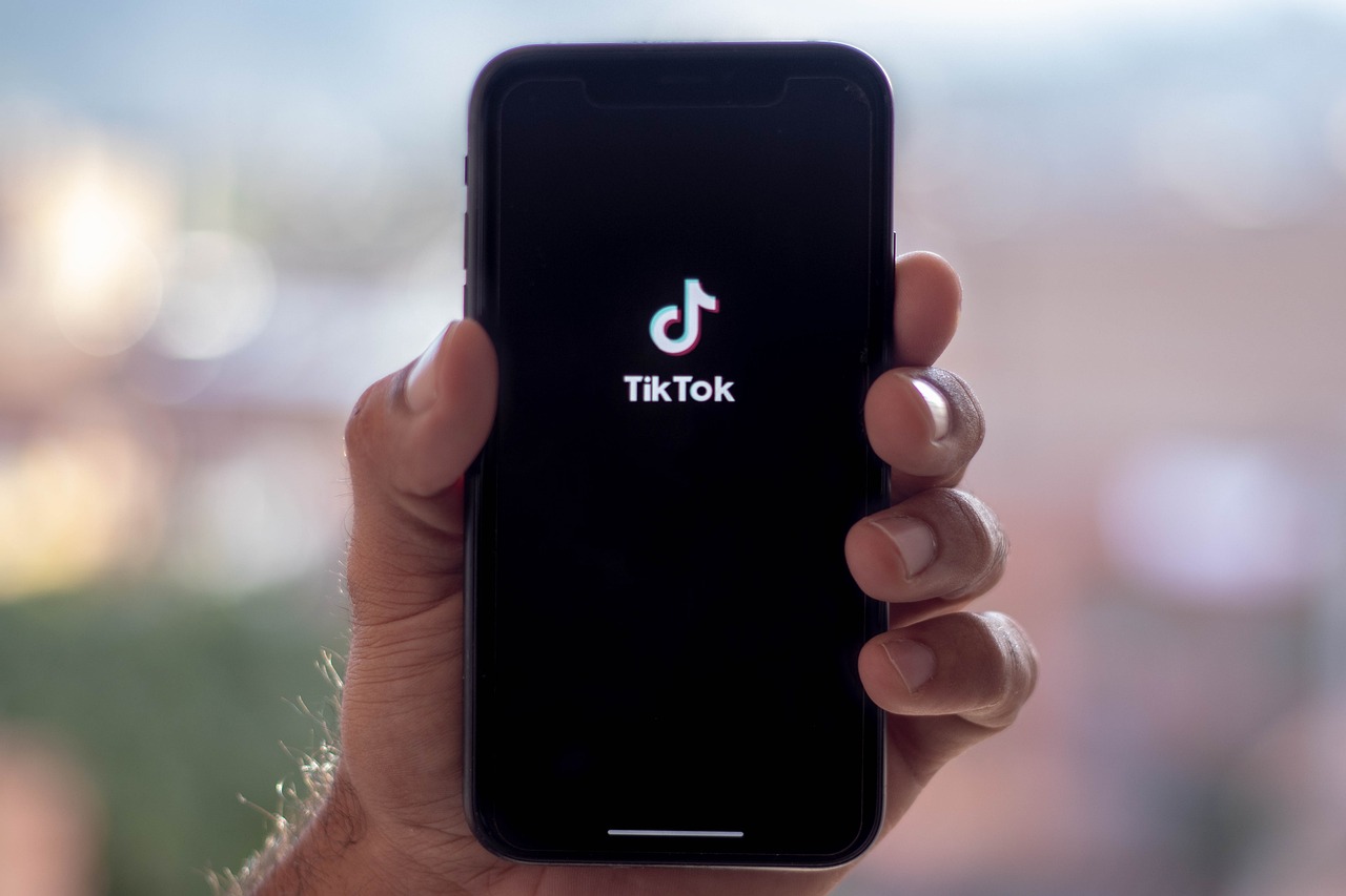 Indagine partita da una segnalazione su TikTok: indagato un cittadino maliano nel bolognese