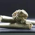 Bologna, controlli ad “Alto Impatto”: un arresto per spaccio alla Montagnola