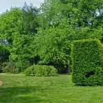Filla apre la primavera con la Biblioteca della Natura e un calendario fitto di iniziative in Montagnola