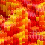 Navile, alla Casa delle Autonomie arriva una rampa in Lego simbolo di inclusione