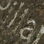 Bologna ricorda i martiri di Fossoli: tre nuove pietre d’inciampo per Mazzoli, Biagini e Giovanelli