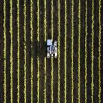 Cadriano, 12 milioni per il centro Unibo dell’agritech