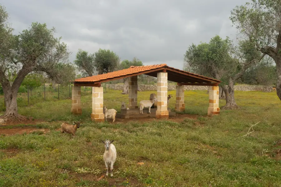 Fattorie Aperte 2026, visite e laboratori in Emilia-Romagna