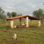 Fattorie Aperte 2026, visite e laboratori in Emilia-Romagna