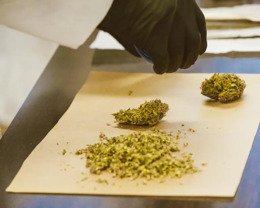 Bologna, quasi 4,8 chili di droga sequestrati in via Ducati