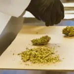 Bologna, quasi 4,8 chili di droga sequestrati in via Ducati