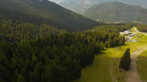 Boschi privati in Emilia-Romagna, bando da 300mila euro