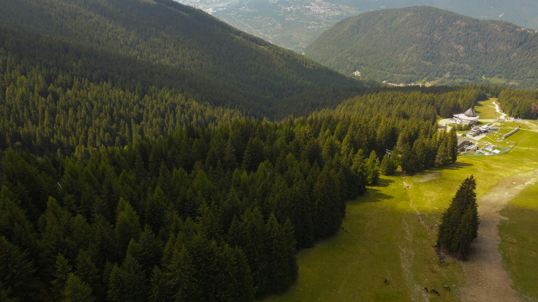 Boschi privati in Emilia-Romagna, bando da 300mila euro