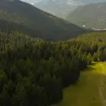 Boschi privati in Emilia-Romagna, bando da 300mila euro
