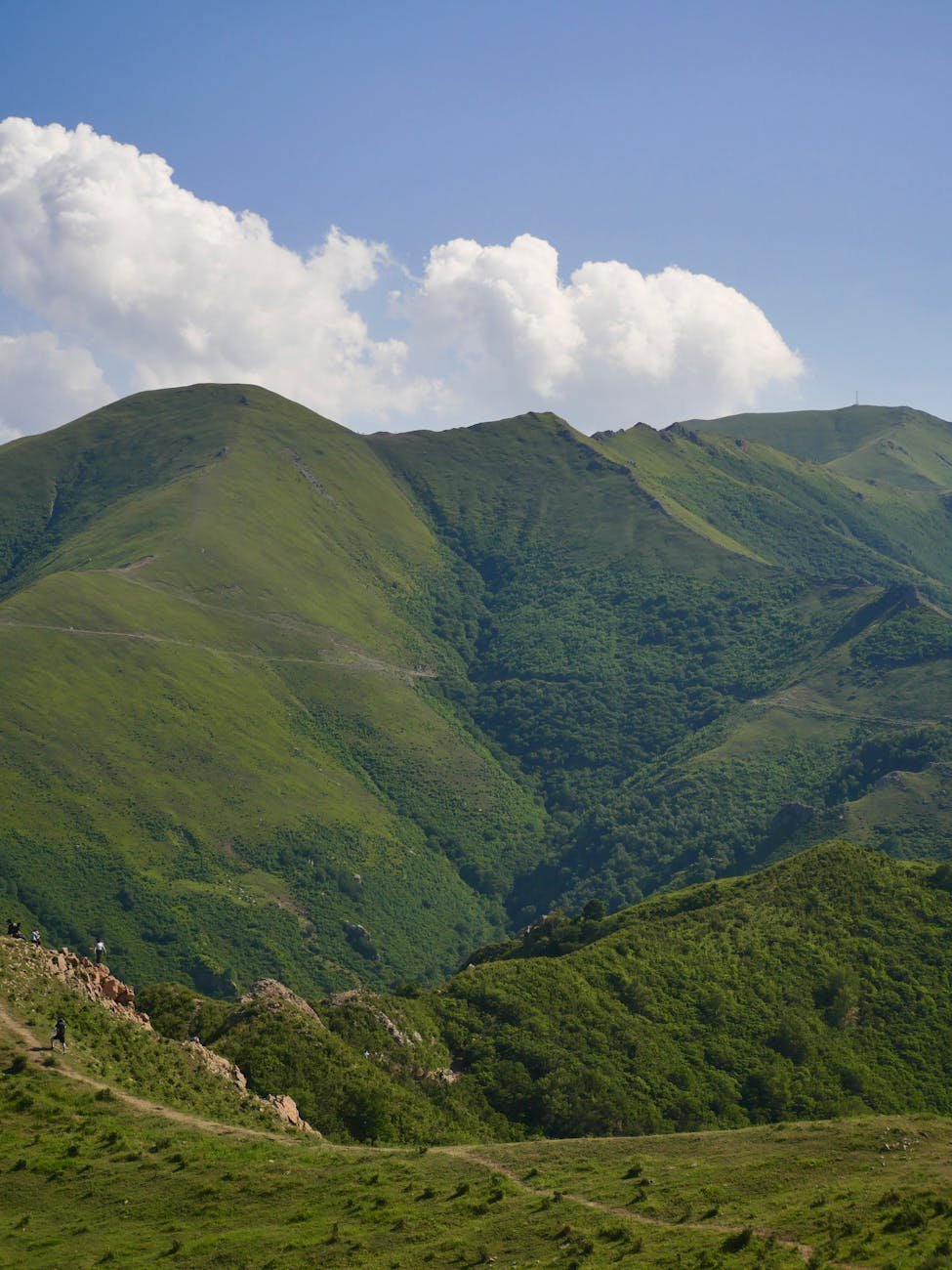 Appennino bolognese, 231 colloqui al career day di Vergato