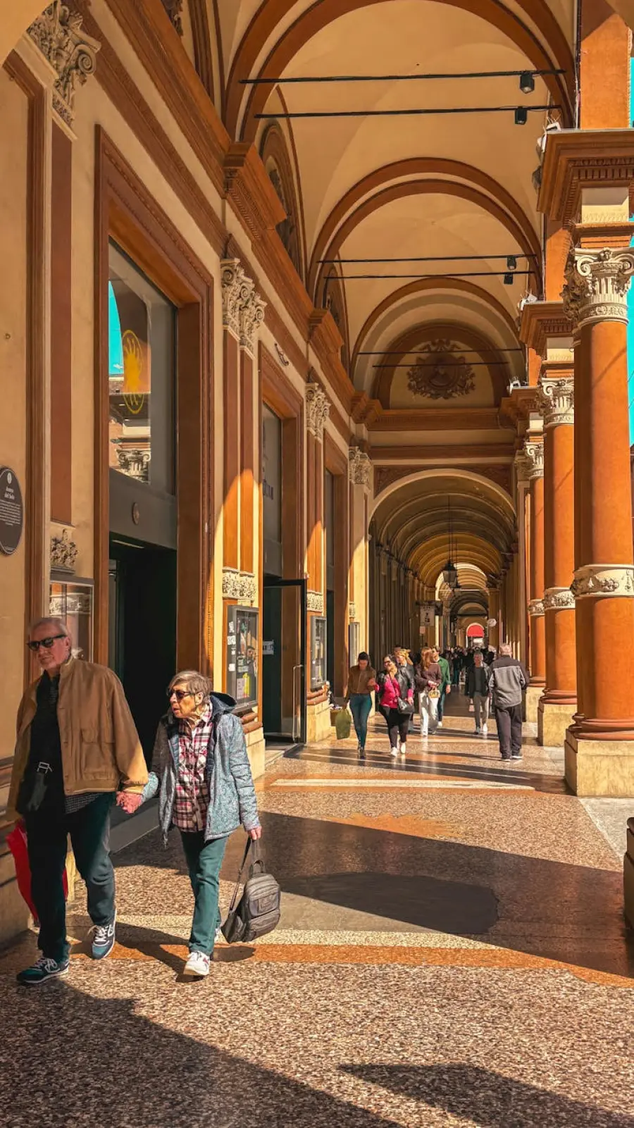 L’Università di Bologna, la più antica del mondo occidentale: storia, primati e luoghi dell’Alma Mater