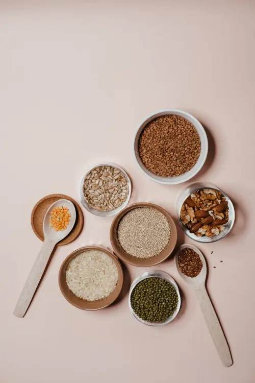 International Wheat Congress 2026 a Bologna dal 25 maggio