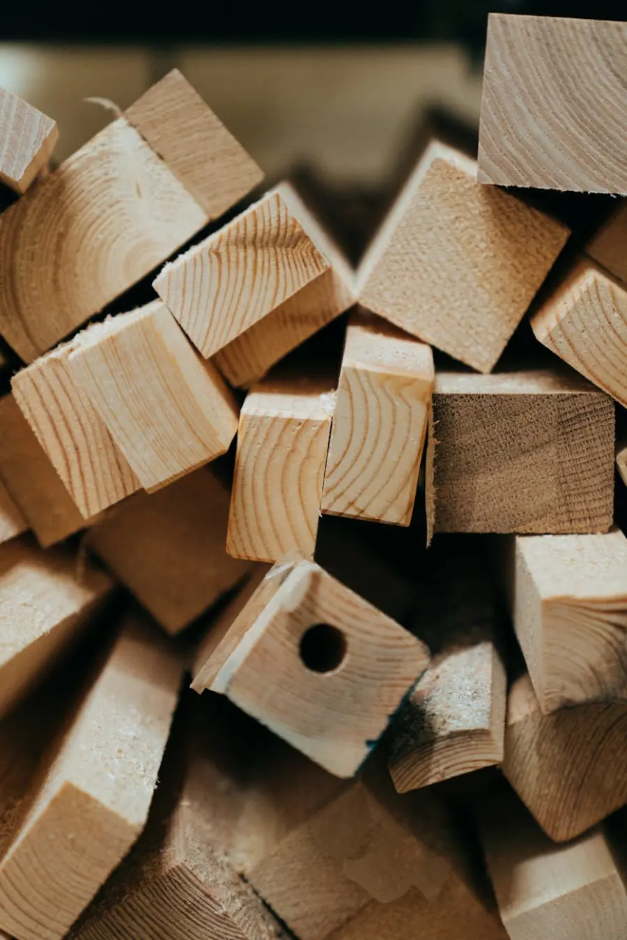 Bologna, laboratorio sul legno per costruzioni sostenibili