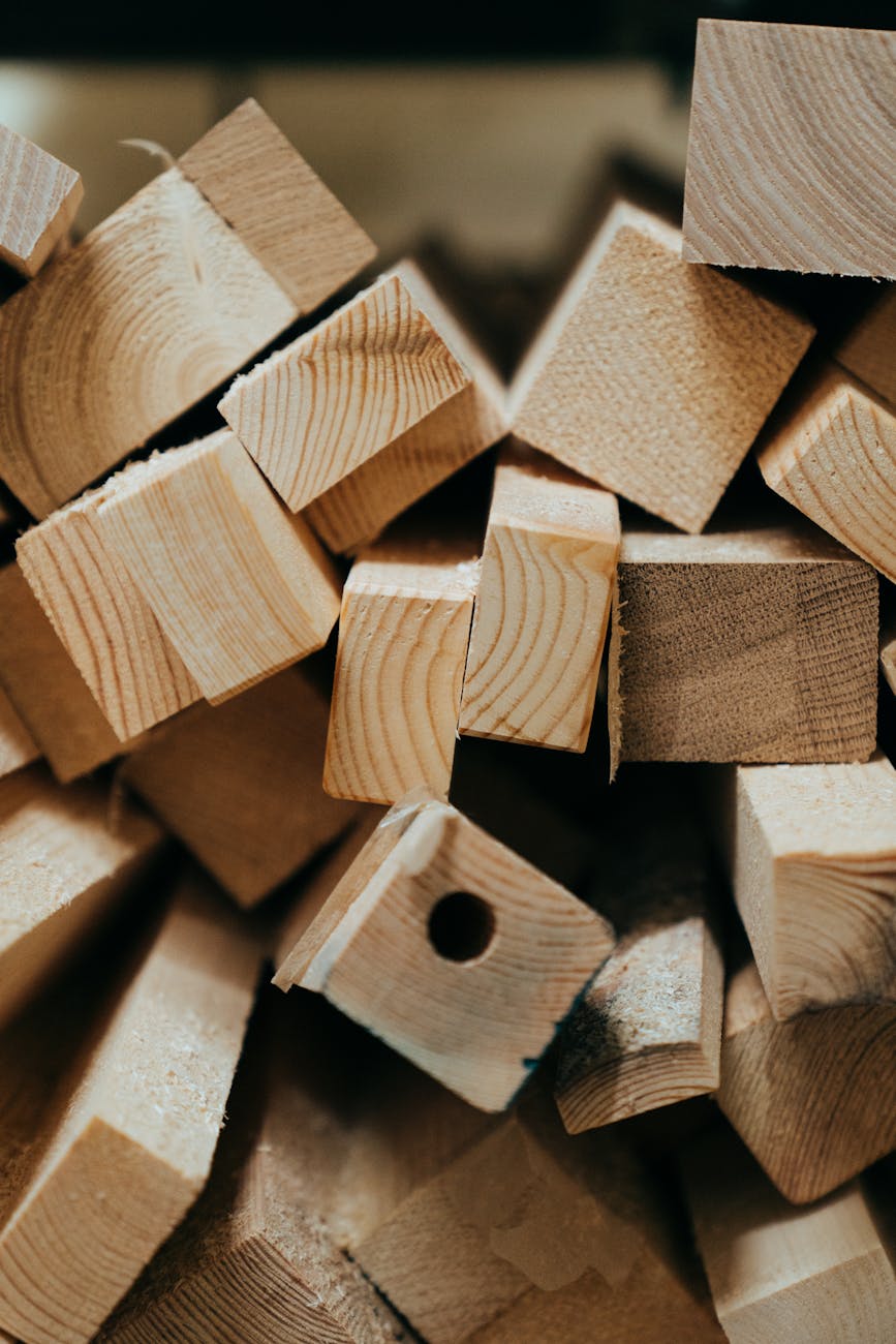 Bologna, laboratorio sul legno per costruzioni sostenibili