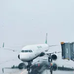Aeroporto di Bologna, 11 arresti della Polizia di Frontiera