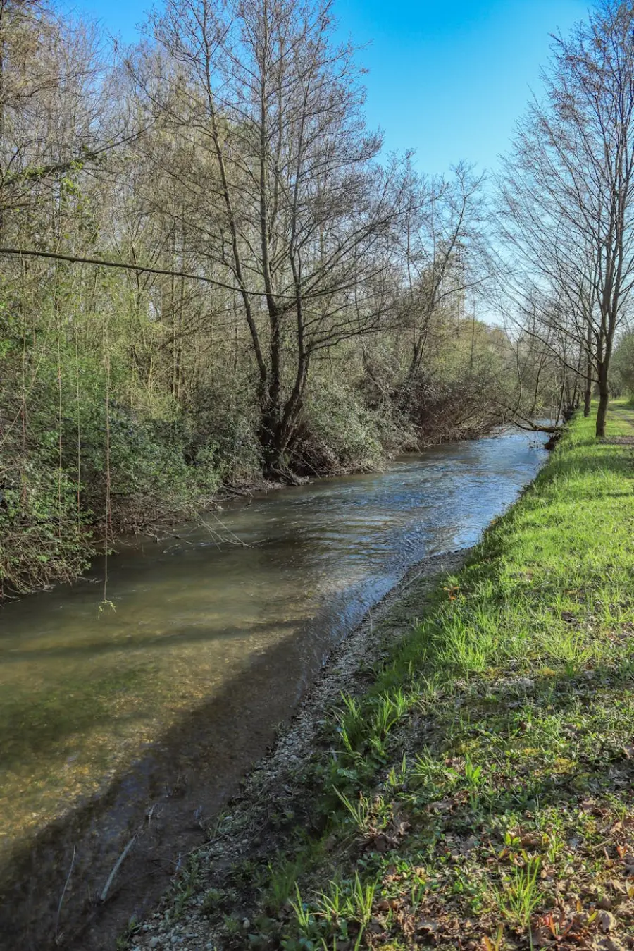 Contratti di fiume, 180mila euro dalla Regione Emilia-Romagna