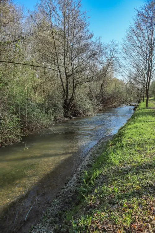 Contratti di fiume, 180mila euro dalla Regione Emilia-Romagna