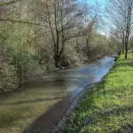 Contratti di fiume, 180mila euro dalla Regione Emilia-Romagna