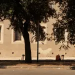 Bologna, nuovi alberi e verde temporaneo in centro
