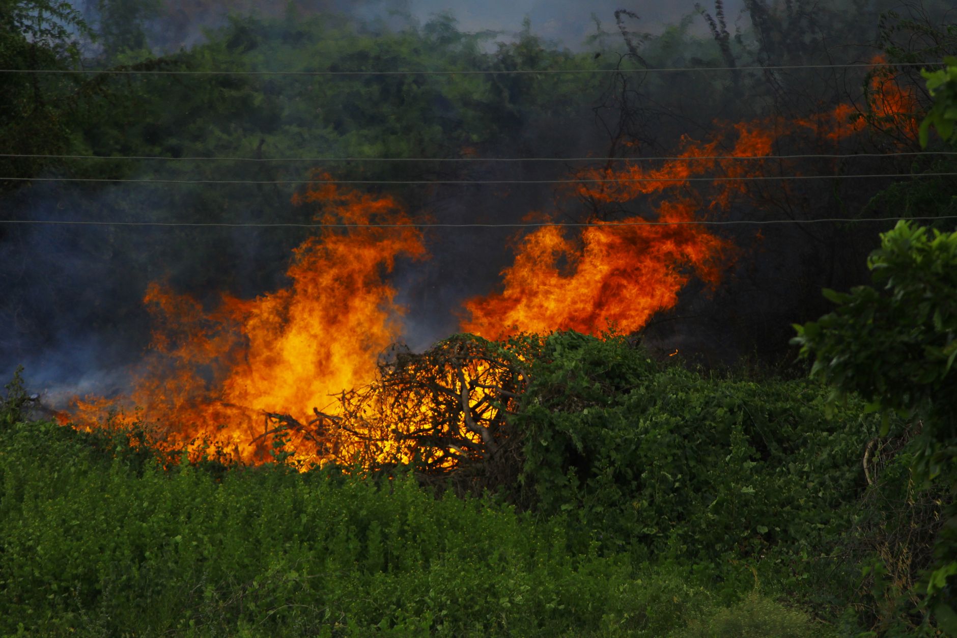 Incendi boschivi, codice giallo in Emilia-Romagna fino al 5 luglio
