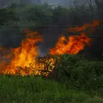 Incendi boschivi, codice giallo in Emilia-Romagna fino al 5 luglio