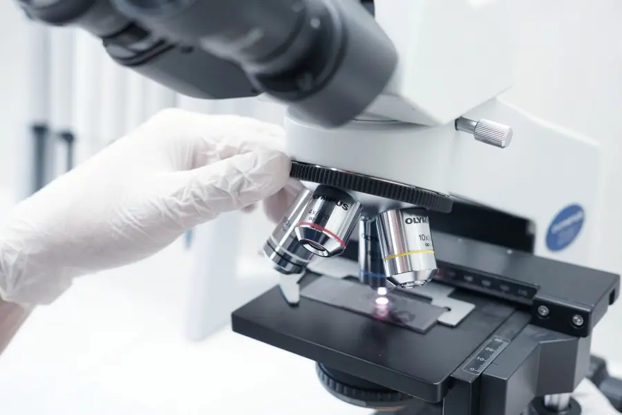 Magnetobot contro i tumori, Bologna nel progetto europeo MagBIO