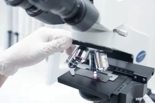 Magnetobot contro i tumori, Bologna nel progetto europeo MagBIO