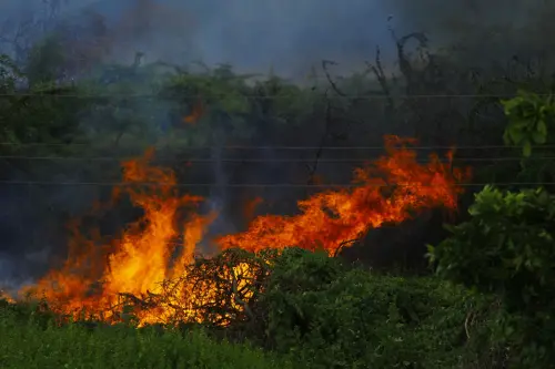 Emilia-Romagna, allerta incendi arancione fino al 9 agosto
